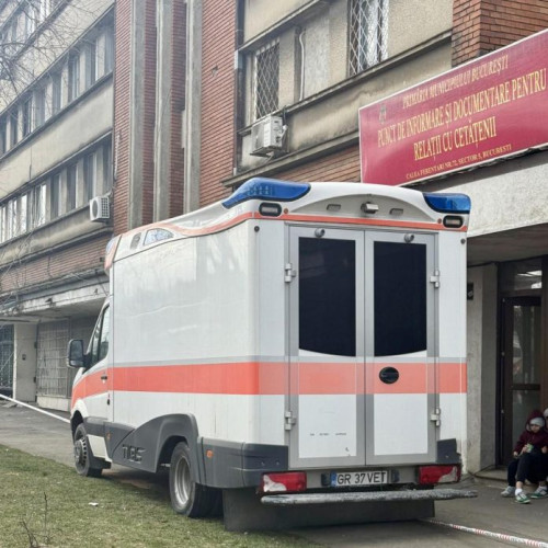 Campanie gratuită de sterilizare și microcipare pentru câini de rasă comună