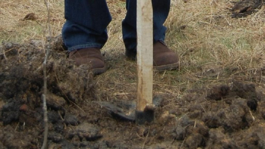 Conflict între vecini la Slivilești: o femeie a fost rănită