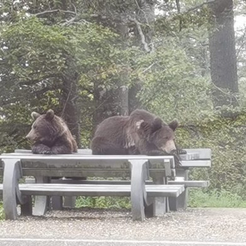 Prefectul Marius Iorga convoacă o întâlnire pentru siguranța cetățenilor