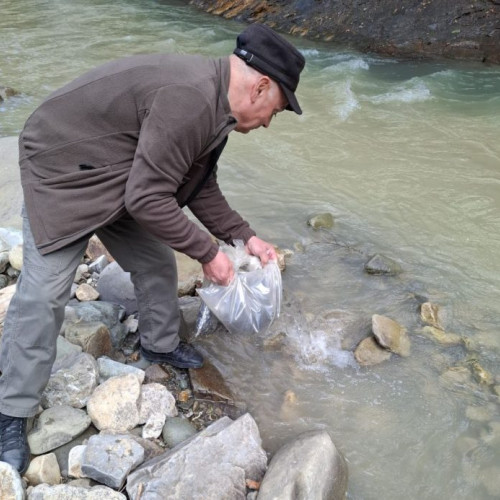 Repopularea cursurilor de apă din Parcul Natural Putna Vrancea