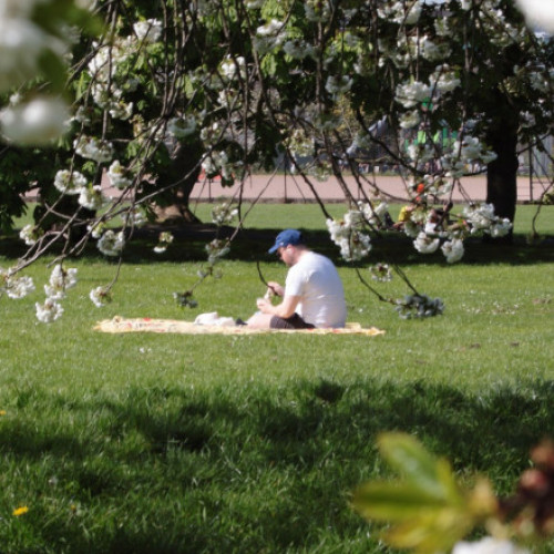 Temperaturi mai ridicate în minivacanța de 1 Mai, anunță meteorologii