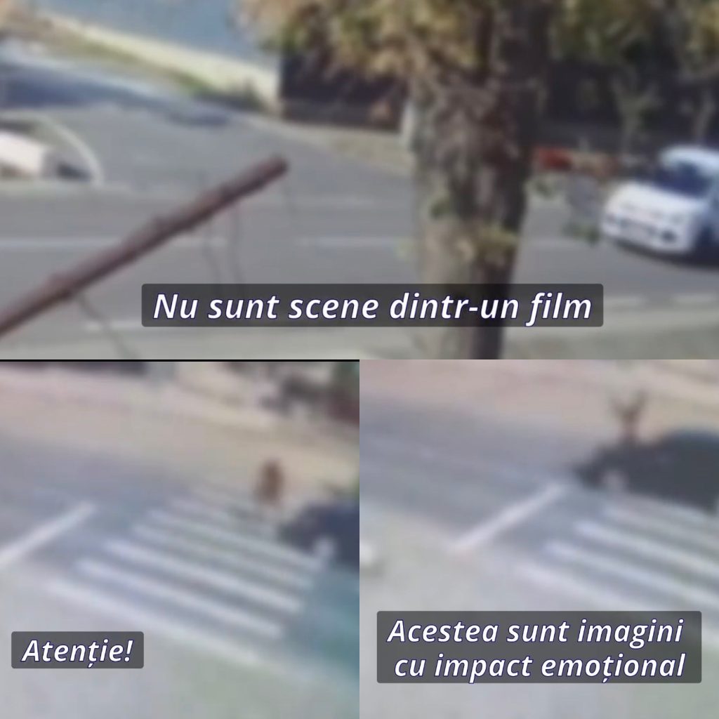 IPJ Gorj lansează o campanie de conștientizare a pericolelor din trafic