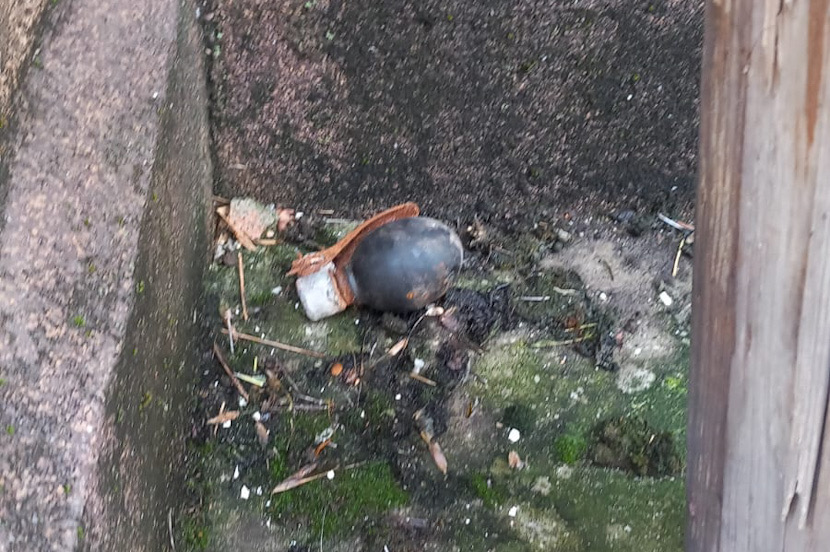 Grenadă găsită între blocuri în Galați: intervenție rapidă a autorităților