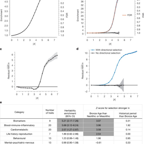 Dna antic dezvăluie selecția direcțională răspândită în Eurasia de Vest