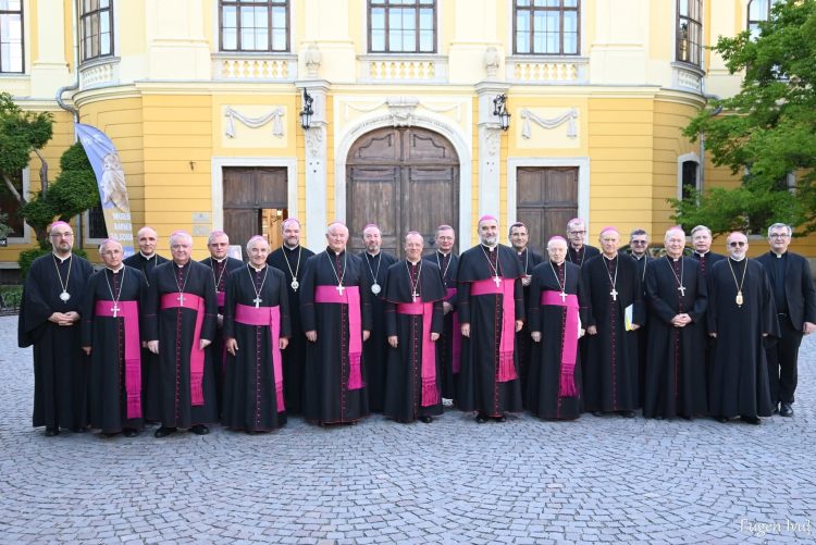 Episcopii Catolici din România își reafirmă sprijinul pentru Papa Leon al XIV-lea
