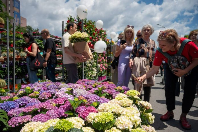 Festivalul West Side Flower Fest revine cu o temă inedită în 2026