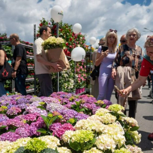 Festivalul West Side Flower Fest revine cu o temă inedită în 2026