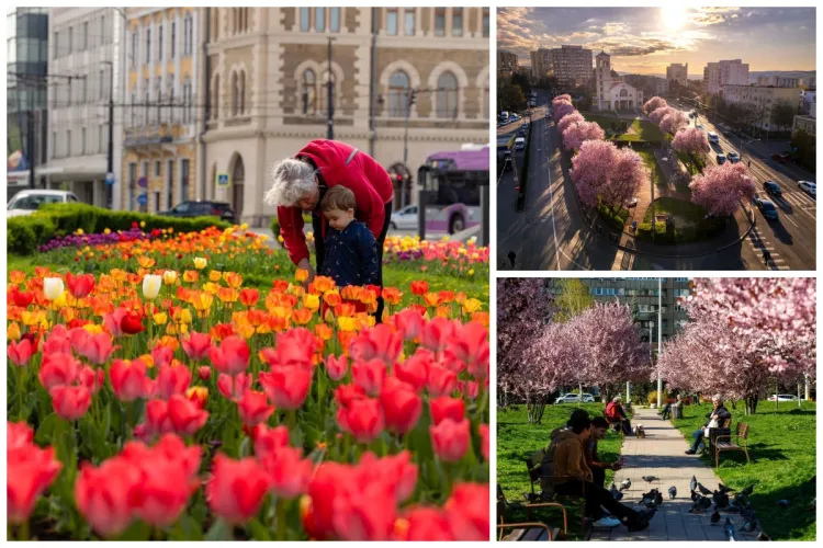 Clujul, transformat într-o explozie de culori primăvăratice