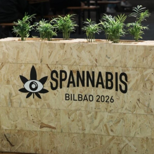 Bilbao găzduiește „Spannabis”, cel mai mare târg european de canabis