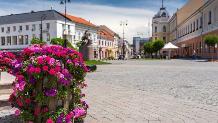 Investiții majore în educație și transport în Sfântu Gheorghe