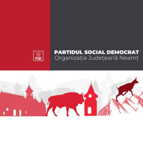 PSD își reformulează poziția înaintea consultării naționale