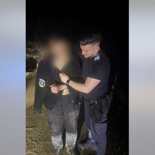 Tânăr salvat de jandarmi după ce a fost urmărit de un urs