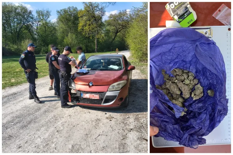 Un șofer prins consumând substanțe psihoactive în Pădurea Hoia