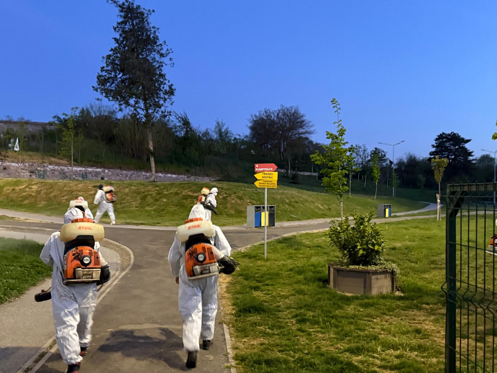 Intervenție de combatere a insectelor planificată în Galați