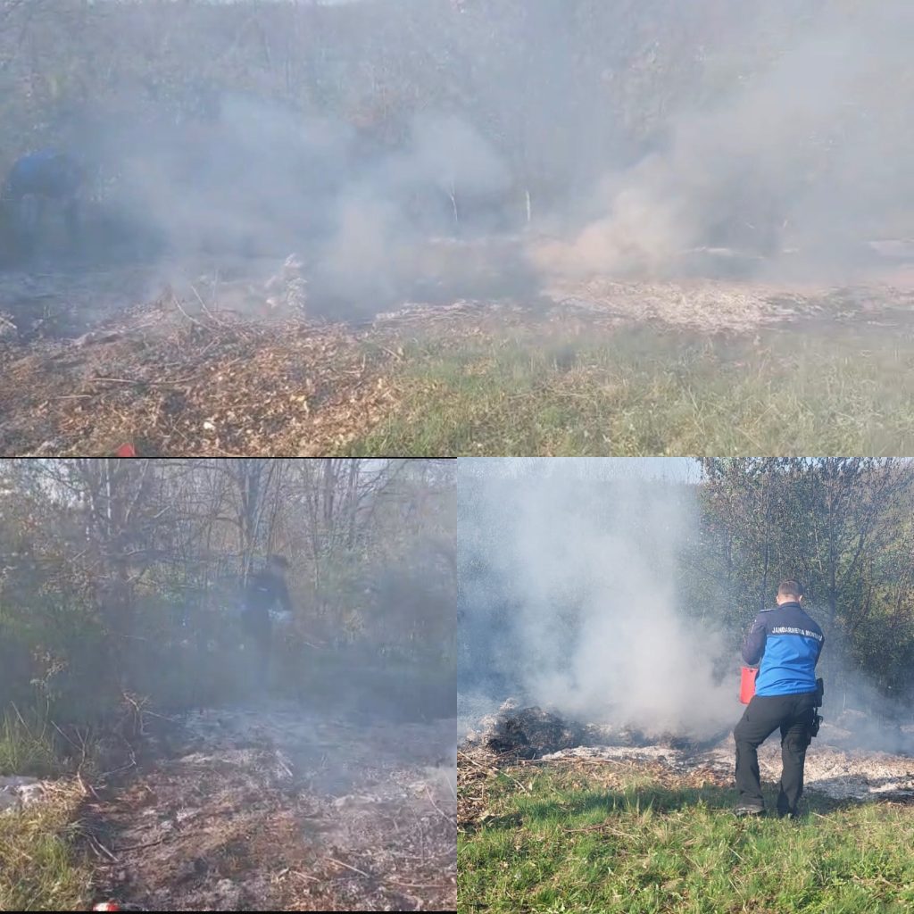 Jandarmii montani sting un incendiu de vegetație în Rasovița