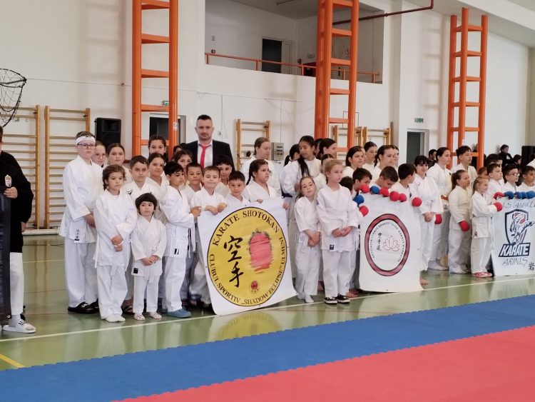 Karateka de la Shadow Eclipse Ulmeni, exemplu de determinare la Cupa Șimleului
