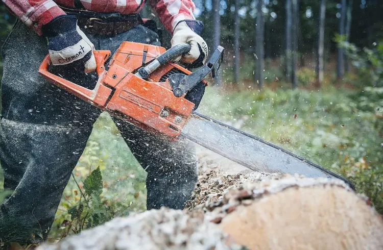 Accident tragic în Sebeș: Un bărbat a murit după ce s-a tăiat cu drujba