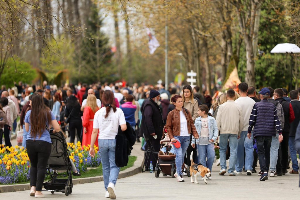 Simfonia Lalelelor umple Parcul Lunca Argeșului cu culoare și creativitate