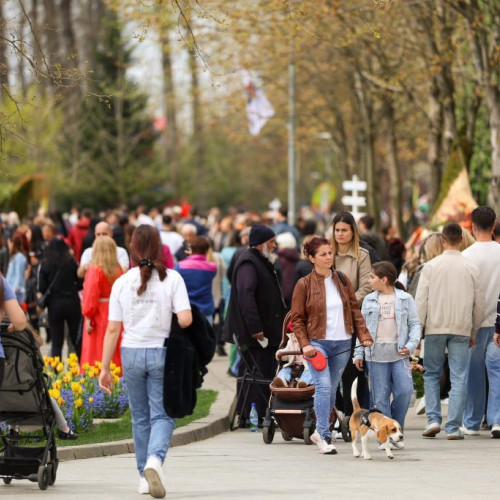 Simfonia Lalelelor umple Parcul Lunca Argeșului cu culoare și creativitate