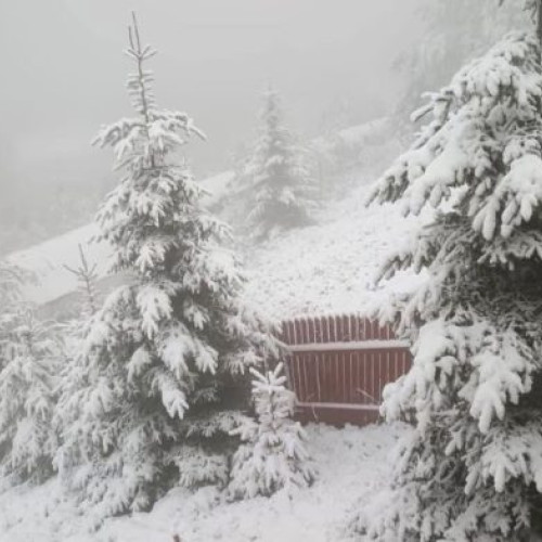 Vremea se răcește: ANM anunță ploi și vânt puternic