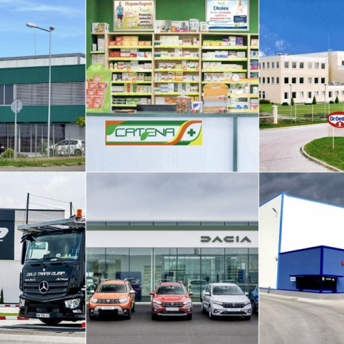 Fildas Trading depășește Dacia în topul companiilor din Argeș