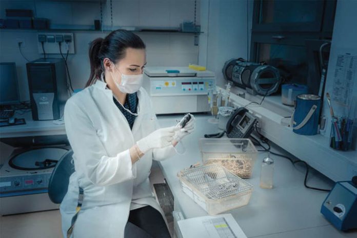 Picături de ochi din lichid seminal de porc opresc tumorile retiniene