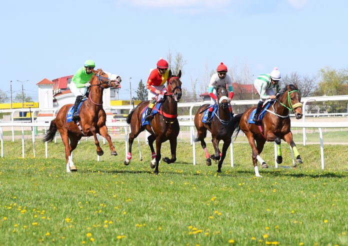 Reuniune hipică de succes la hipodromul Ploieşti