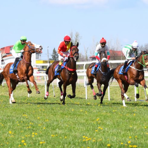 S-a „întors” galopul