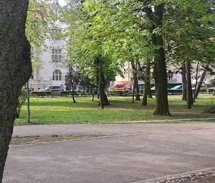 Exercițiu de intervenție la Universitatea Babeș-Bolyai din Cluj-Napoca