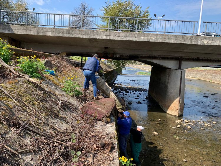 Intervenție pe râul Săsar pentru îndepărtarea deșeurilor în Baia Mare