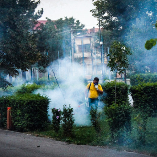 CA ÎN FIECARE AN, APROPIEREA SEZONULUI CALD ADUCE ACȚIUNI DE DEZINSECȚIE ÎN ORAȘ