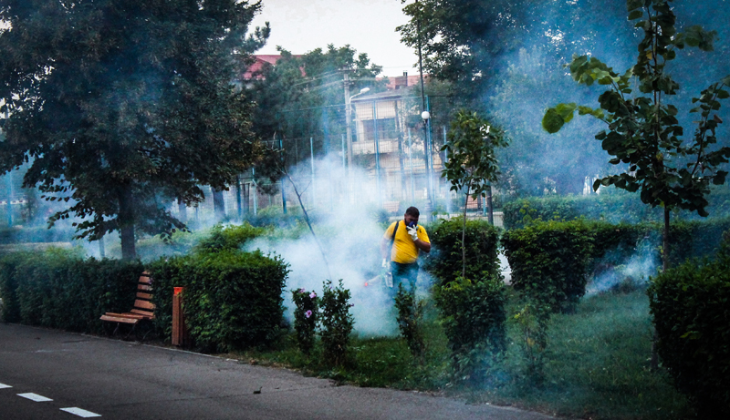 Primăria Giurgiu demarează acțiuni de dezinsecție pentru combaterea căpușelor