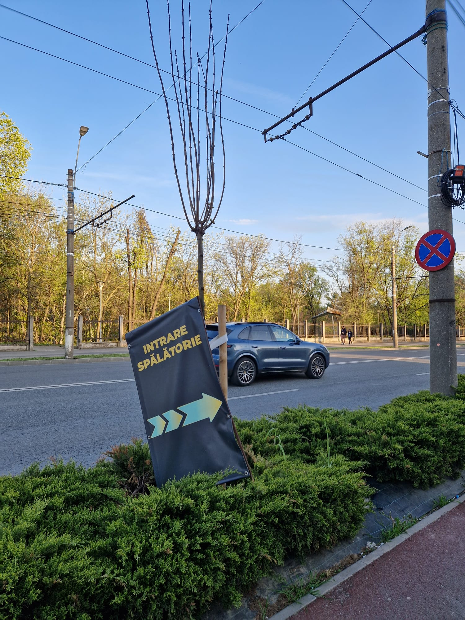 Lipsa de respect față de natură, semnalată pe strada Brăilei