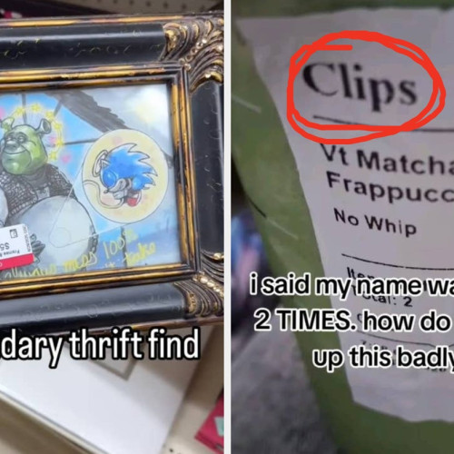 30 de imagini incredibil de stupide surprinse la momentul potrivit