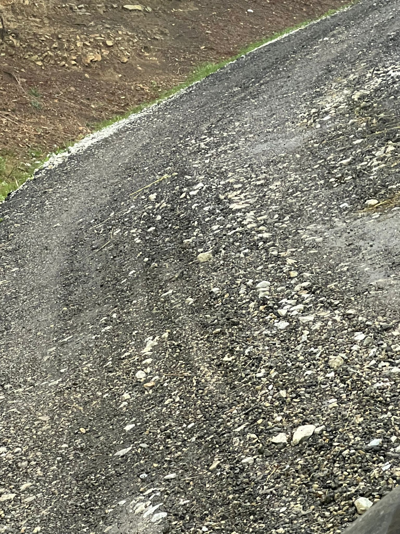 Fotografiile dezvăluie starea precară a străzii din Pângărăcior