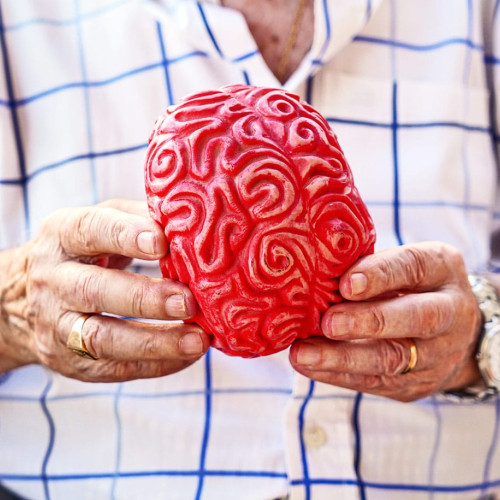 Spray nazal inversează îmbătrânirea cerebrală