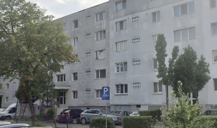 Ciorile distrug izolația termică a blocurilor din Cluj-Napoca