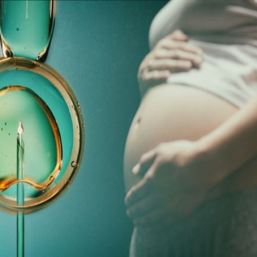 Guvernul a aprobat programul de fertilizare in vitro pentru 2026-2030
