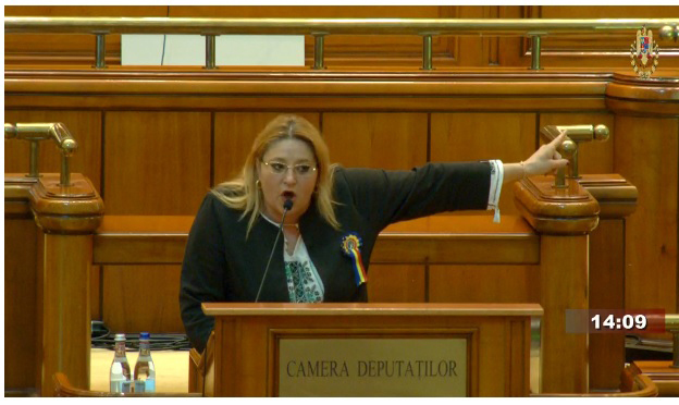 Comisia Europeană recomandă ridicarea imunității Dianei Șoșoacă