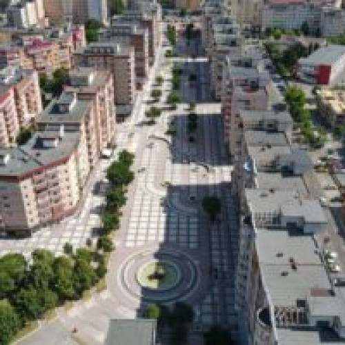 Transformare radicală în Valea Cetății, Brașov: o pădure urbană ia naștere