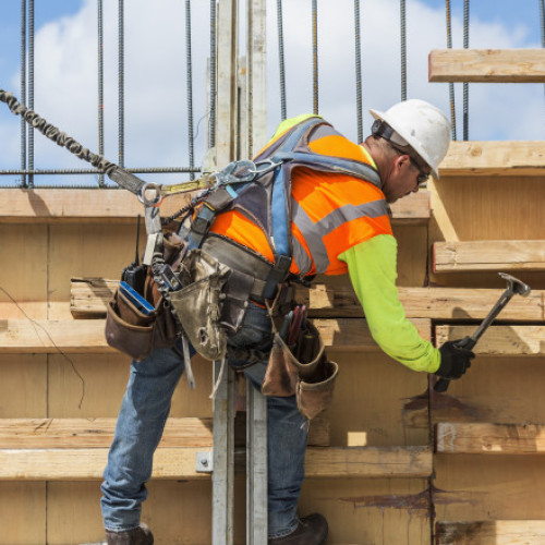 Guvernul adoptă o ordonanță pentru accesul străinilor pe piața muncii