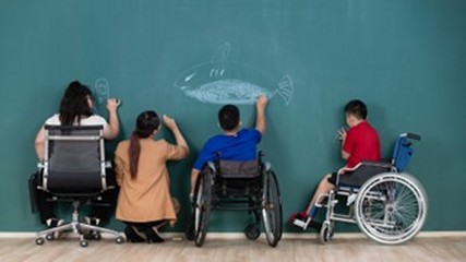 Sistemul de educație pentru elevii cu cerințe speciale, într-o criză profundă