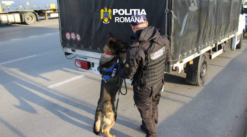 Razie de amploare la Hunedoara: zeci de sancțiuni și infractori identificați