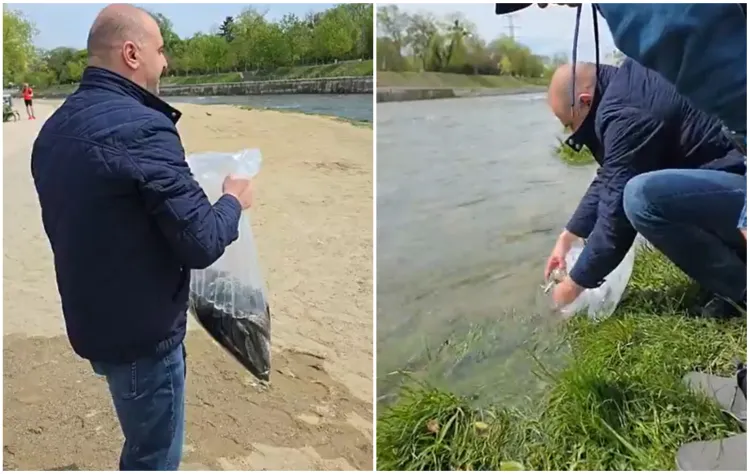 Viceprimarul Dan Tarcea contribuie la repopularea râului Someș cu păstrăv