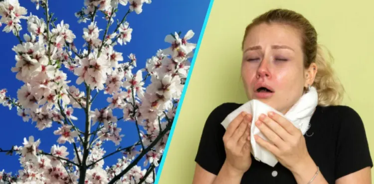 Primăvara aduce bucurie, dar și alergii severe pentru mulți