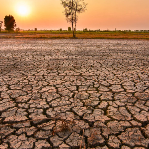 Organizația Meteorologică Mondială: El Nino, probabil în 2026