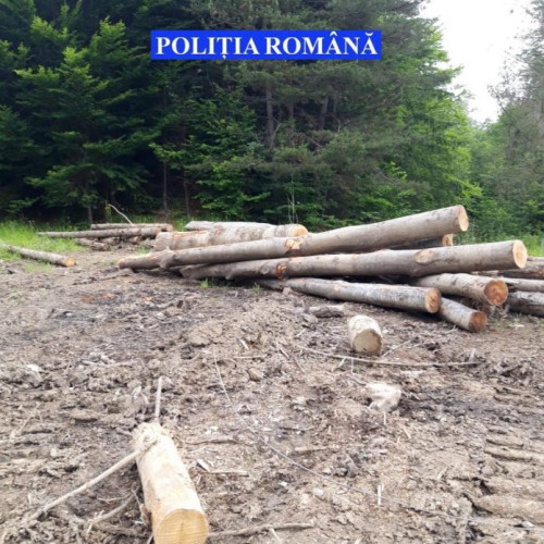 Bărbat rănit grav în accident, salvat de echipajele de urgență