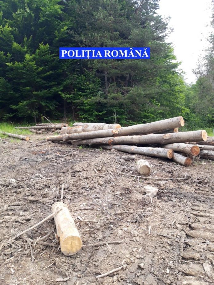 Bărbat rănit grav în accident, salvat de echipajele de urgență