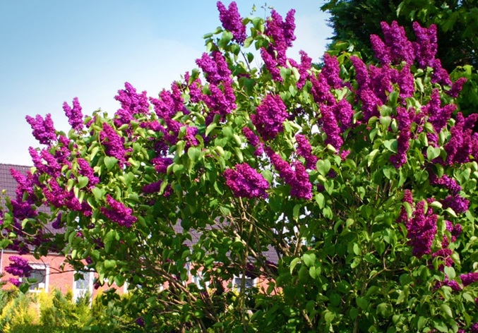 Vremea în următoarele patru săptămâni: prognoză ANM pentru aprilie și mai