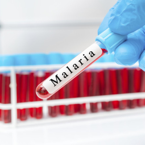 OMS aprobat medicament împotriva malariei destinat sugarilor